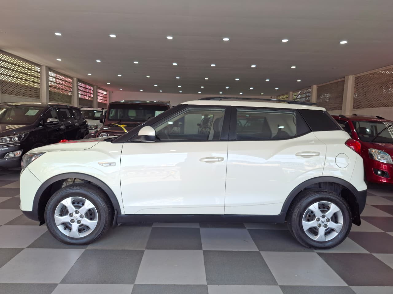 WhatsApp Image 2026-03-05 at 11.53.16 AM