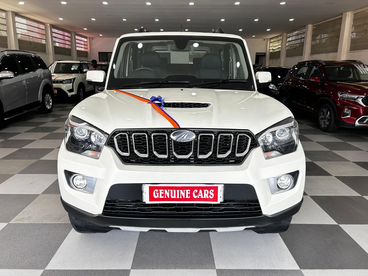 WhatsApp Image 2026-03-13 at 12.29.46 PM (1)